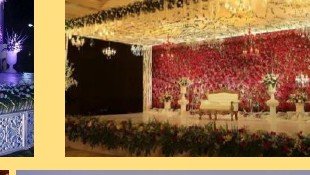 Dense Floral Wall Stage - Maple Roots Villa Udaipur